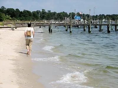 Docks at Piney Point Beach