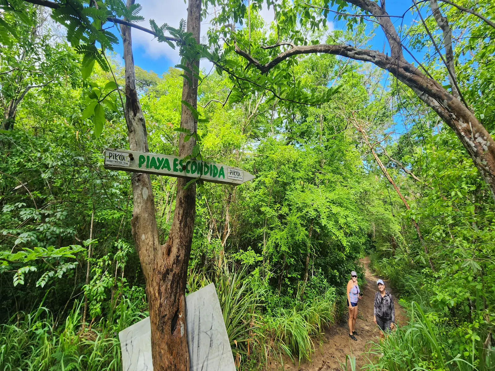 The short trail leads out through the trees onto the beach.
