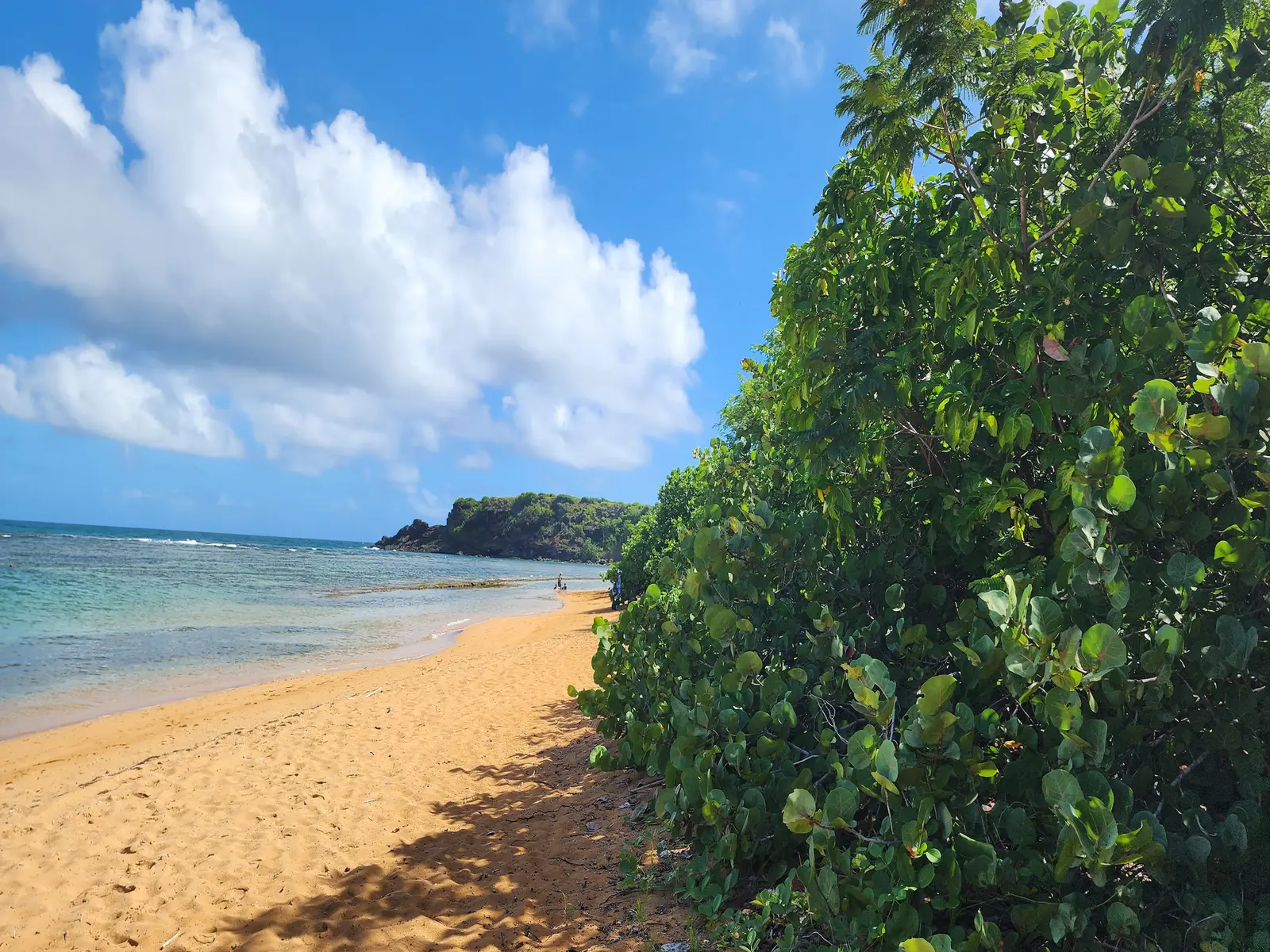 Playa Escondida Puerto Rico