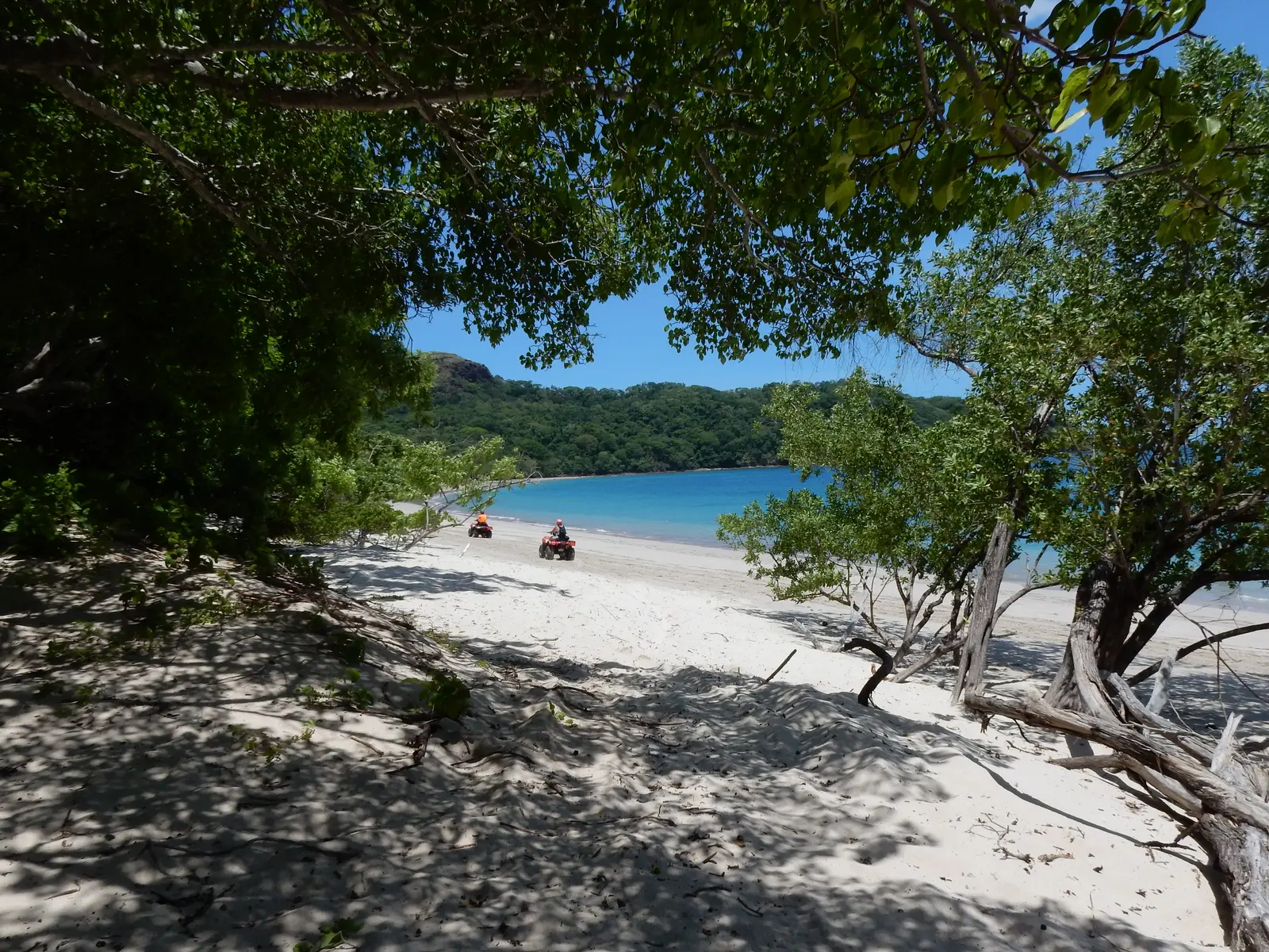 DSCN1954.JPG