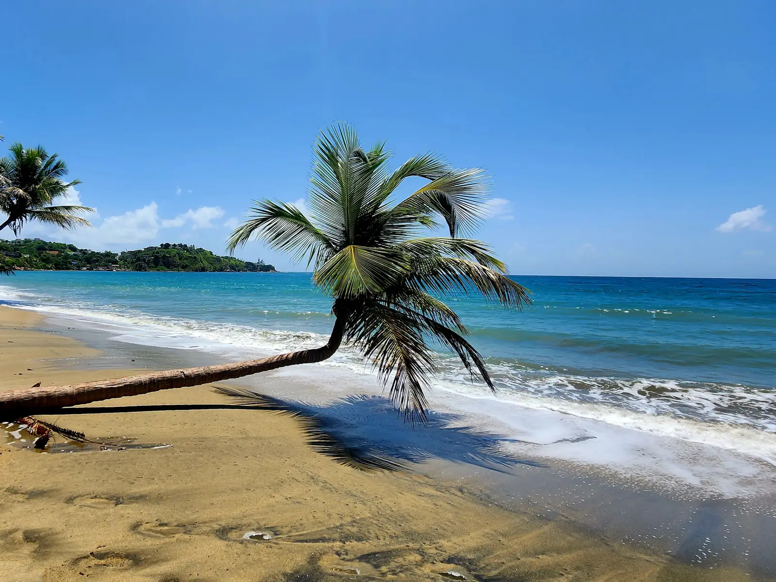 Playa Los Bohios