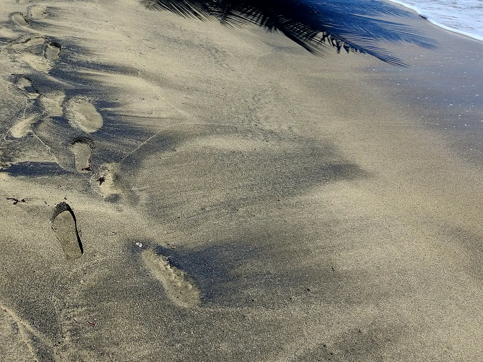 black sand beach