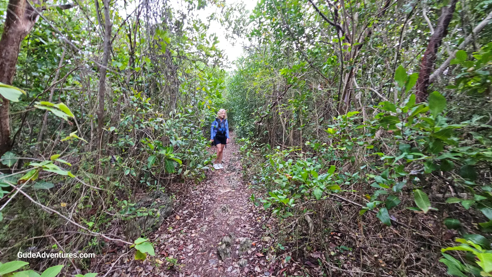 The trail to Cueva Escondida.