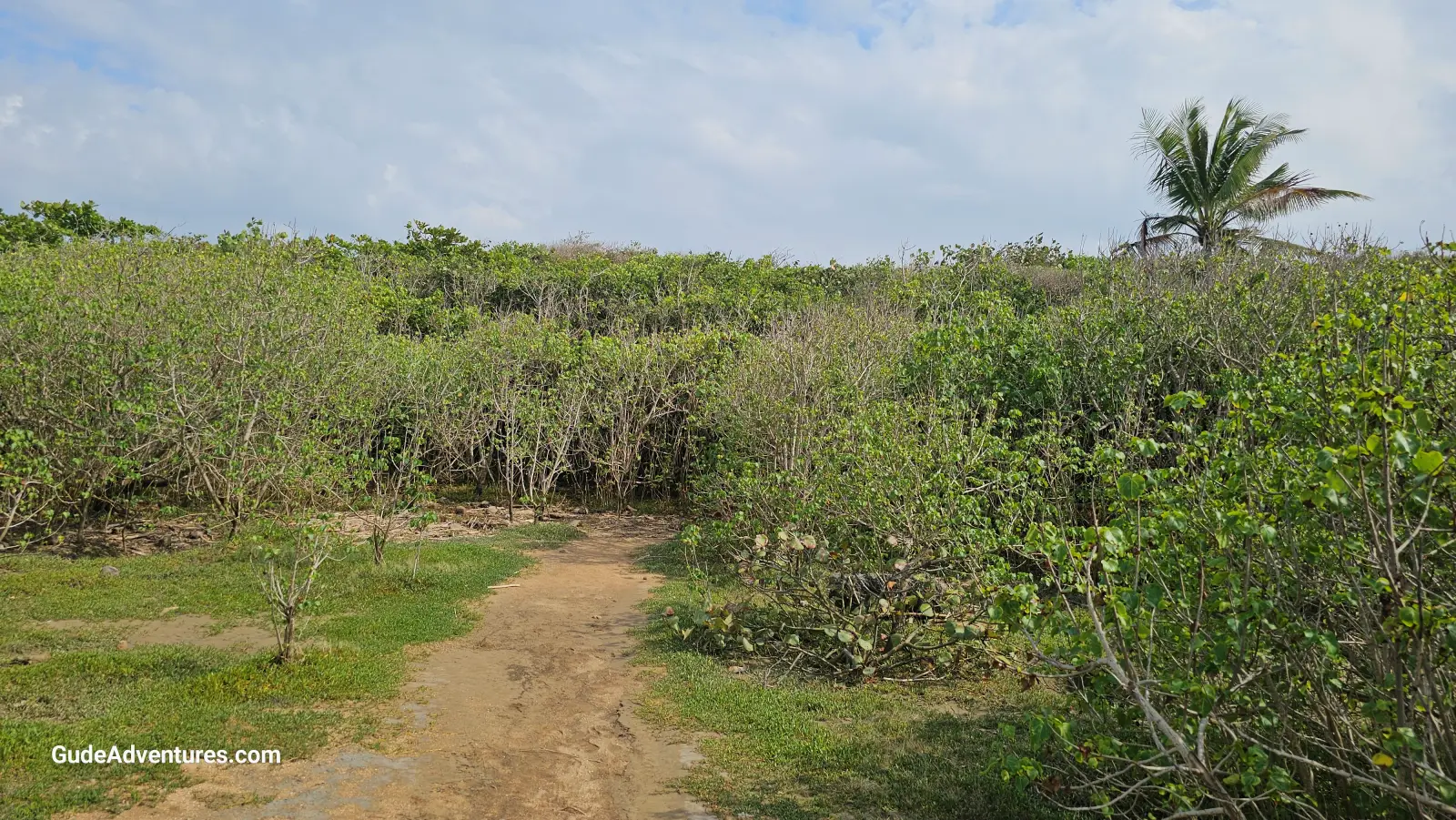 The right end of the beach.