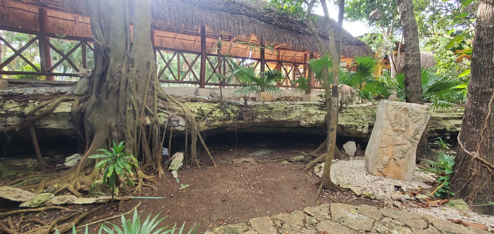 The Viva Wyndham at Playacar