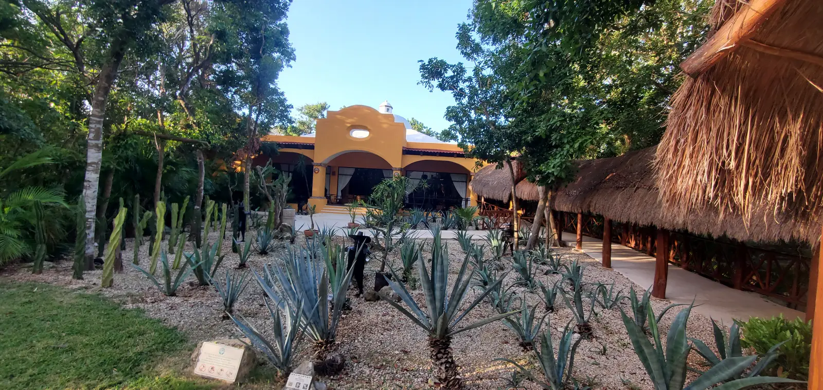 The Viva Wyndham at Playacar