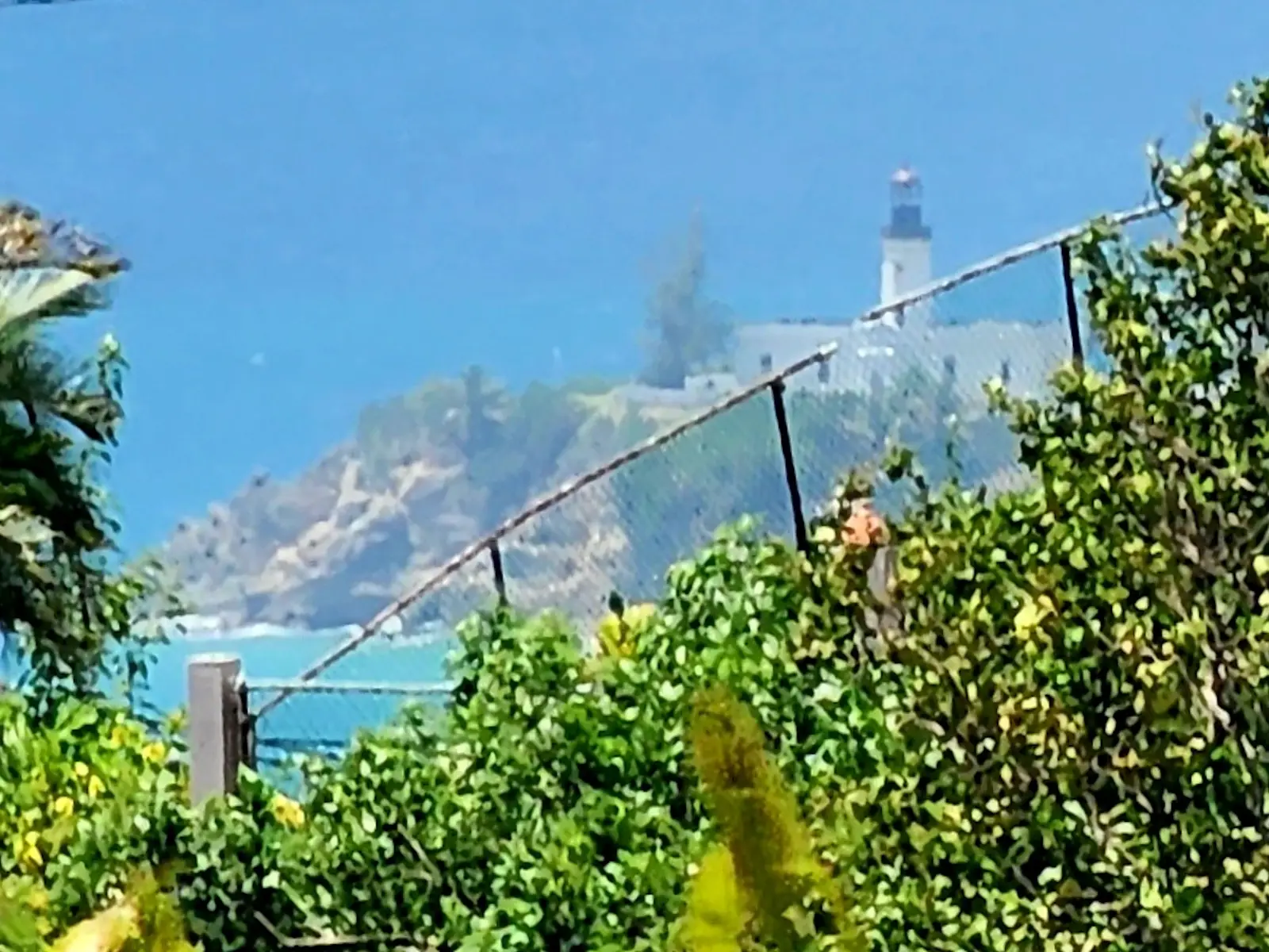 View from Punta Toro