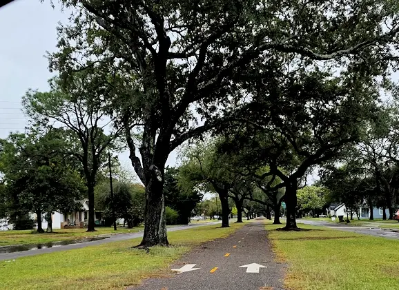 Thomas Boulevard in Port Arthur