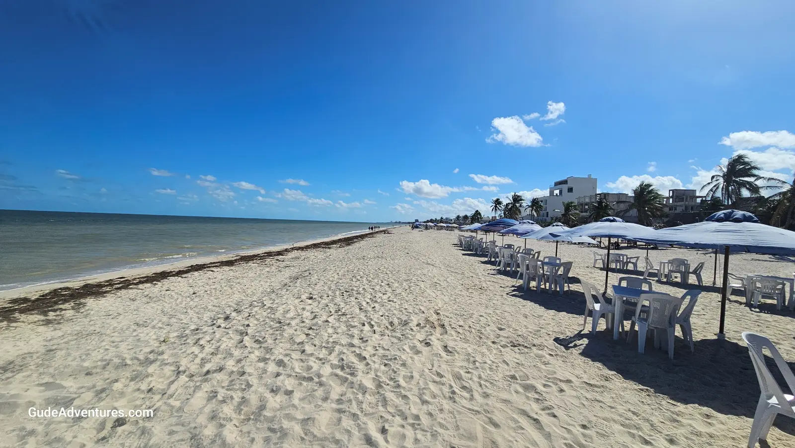 The beach at Progreso