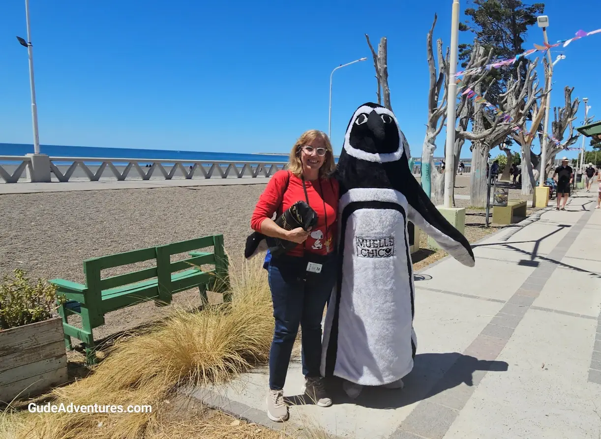 Puerto Madryn penguin