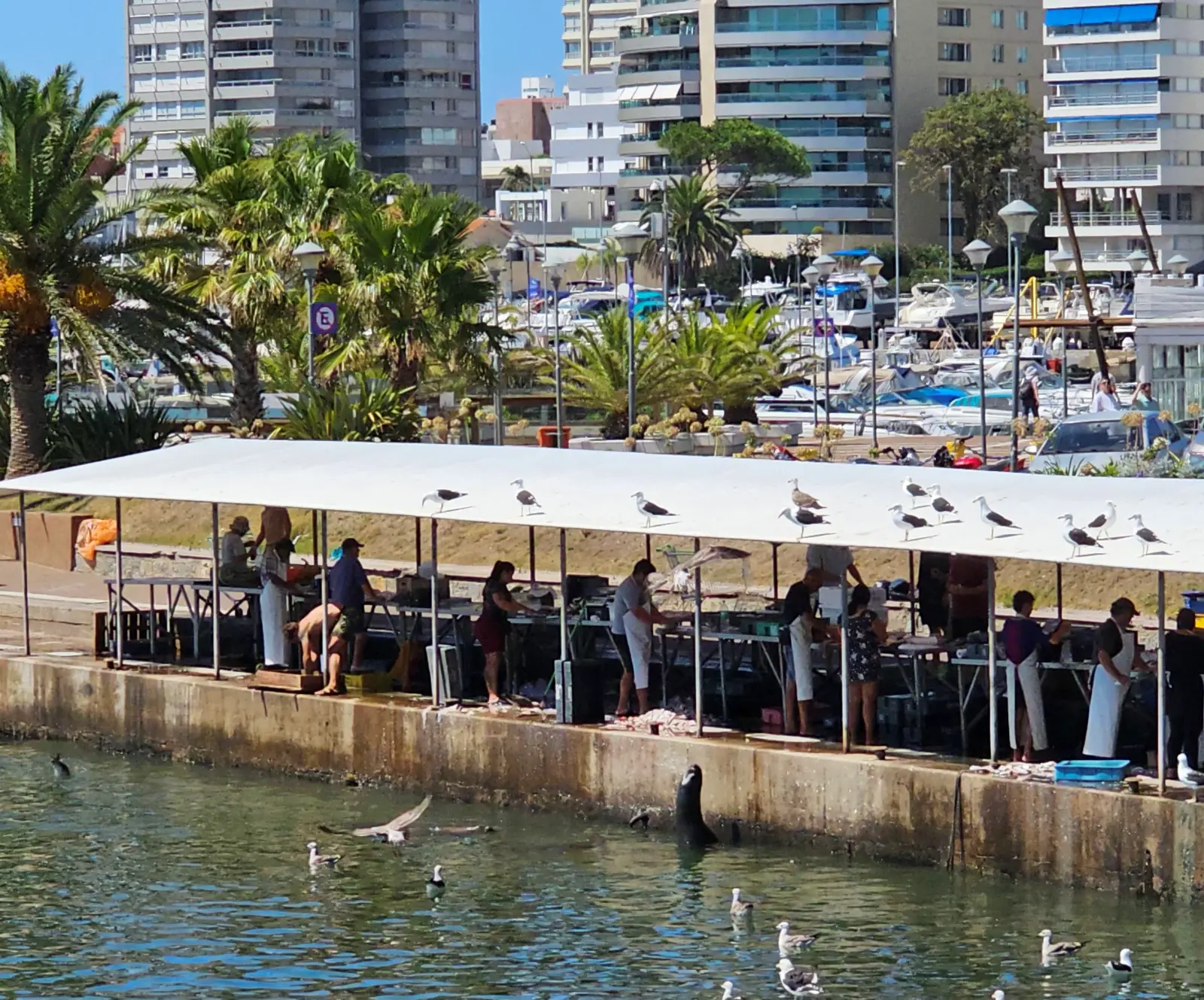 This where the fisherman clean their fish.
