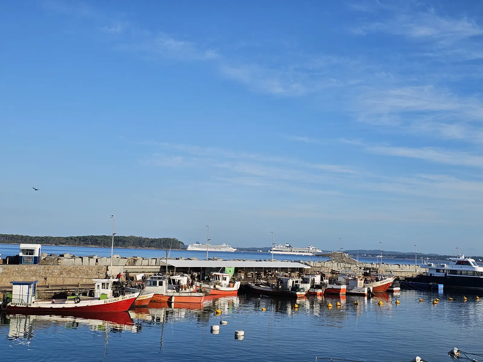 The harbor at Punta del Este