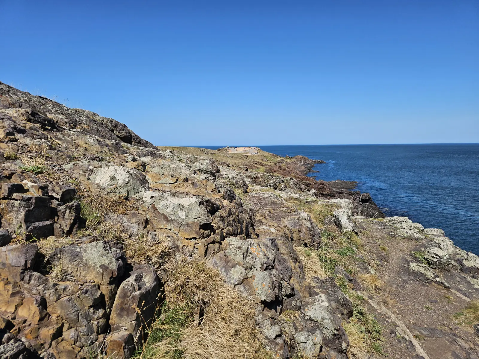 Punta Ballena