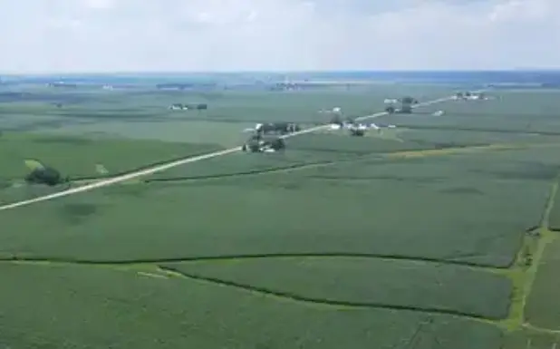 Local corn farms