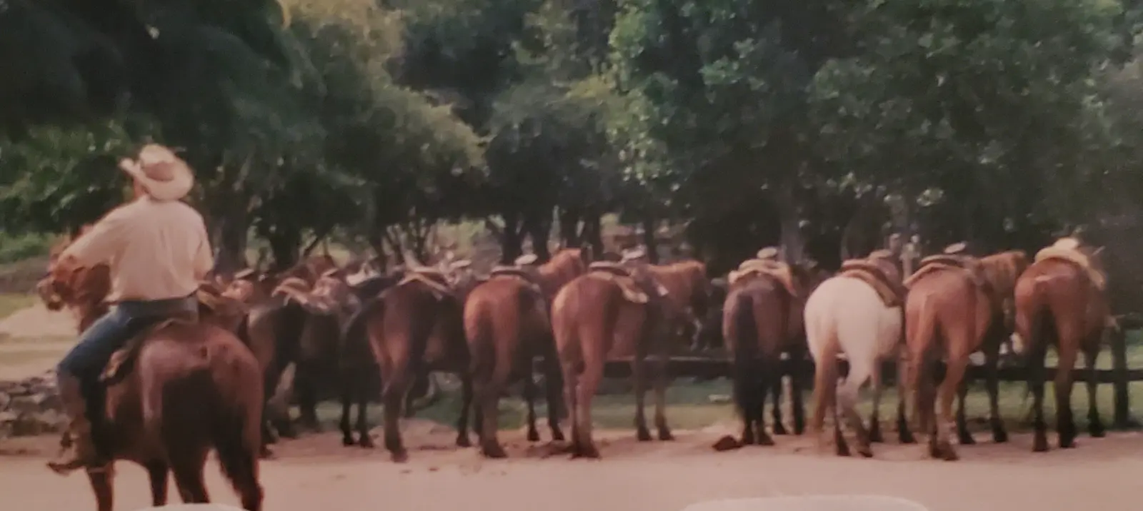 Rancho Buenavista 