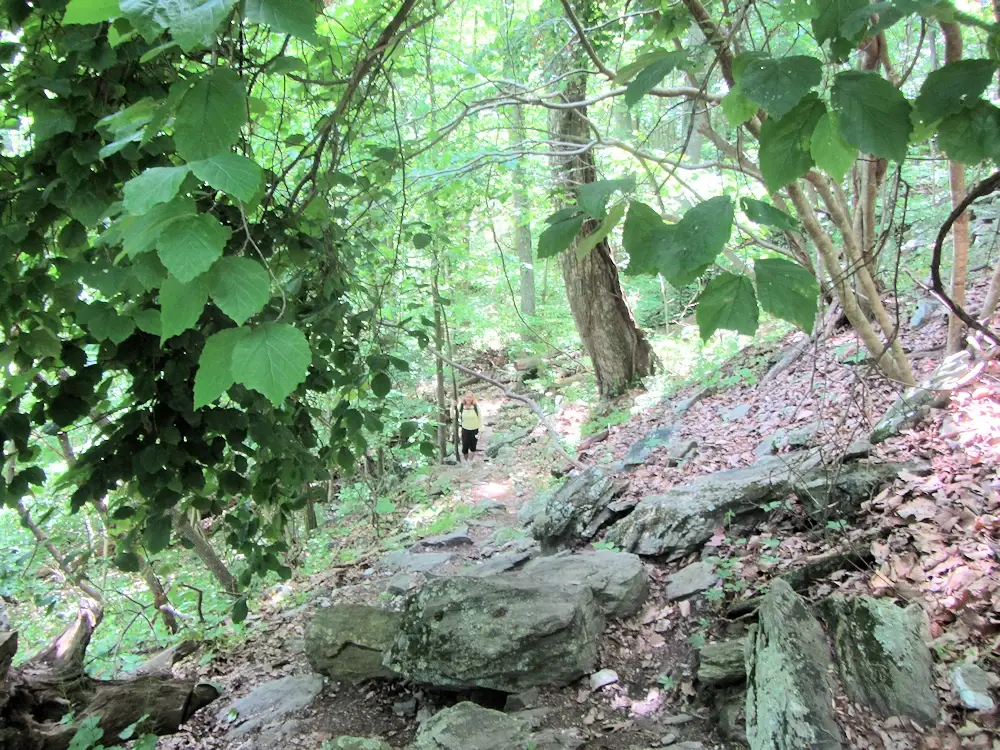 Walking along the Appalachian trail