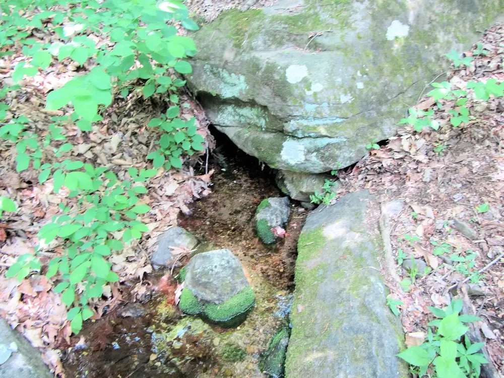 Small spring along the trail