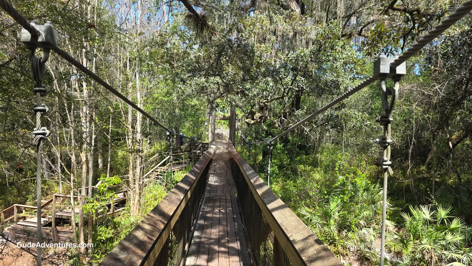 Swinging bridge over the ravine at Ravine Gardens State Park