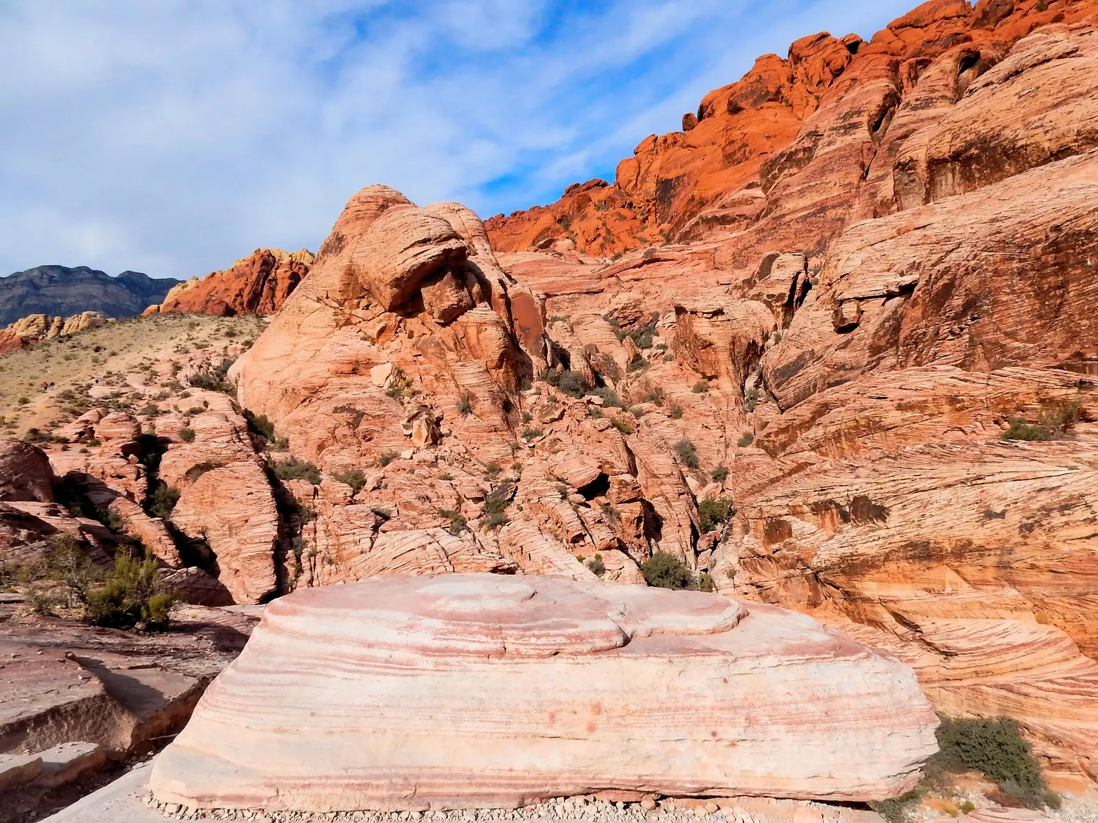 Red Rock Canyon 