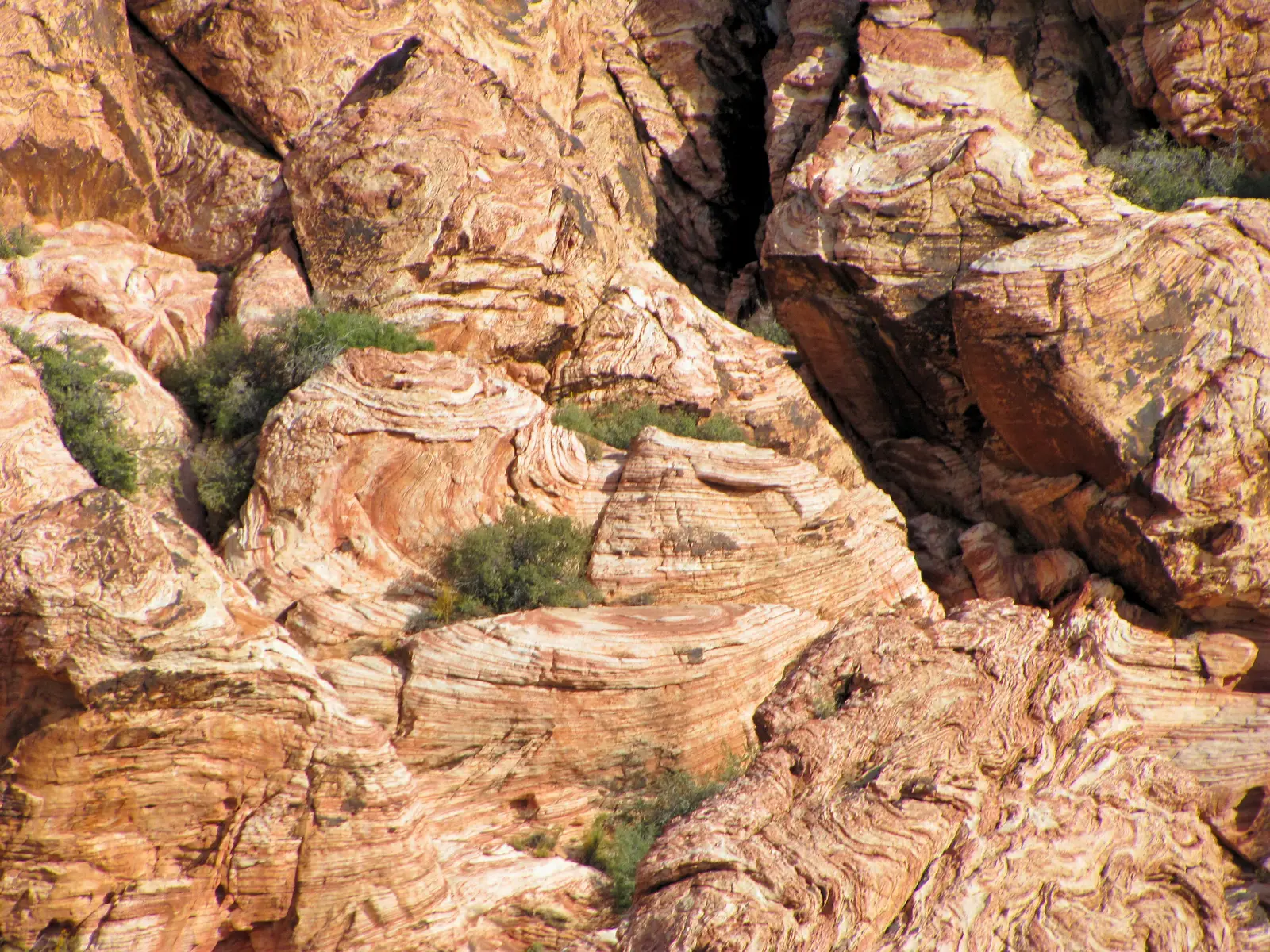 Red Rock Canyon 