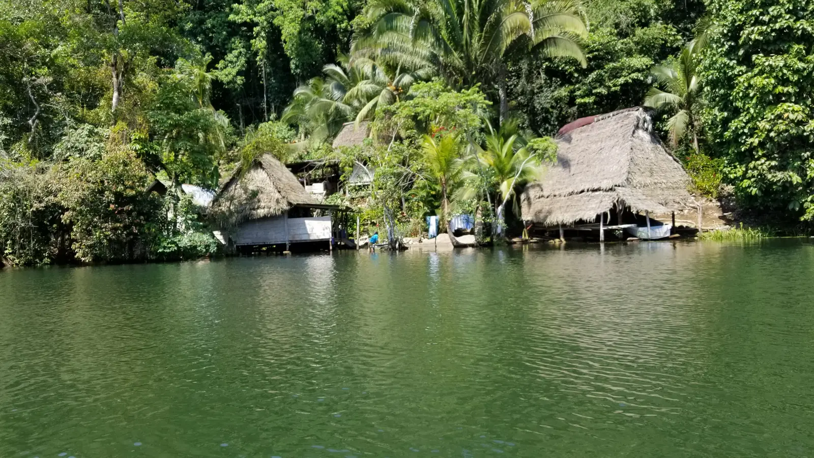 20180329_110811.jpg