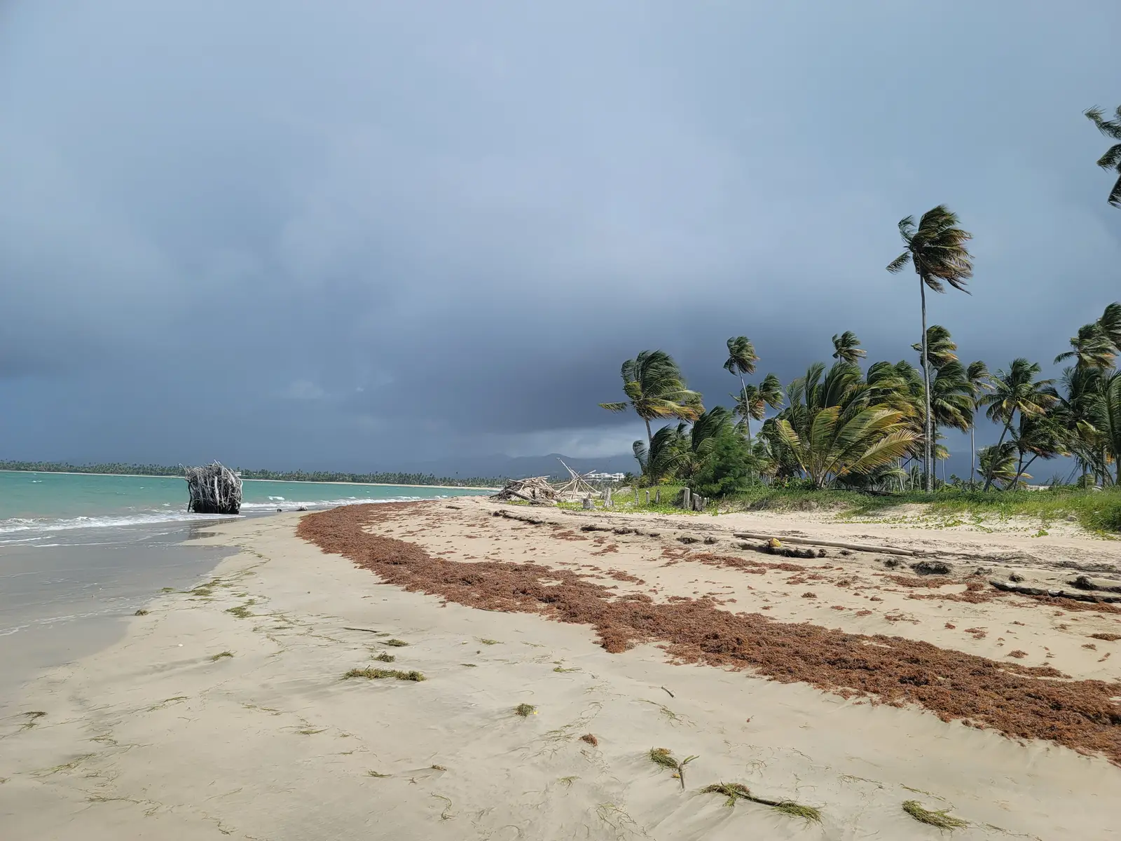 Punta San Agustin