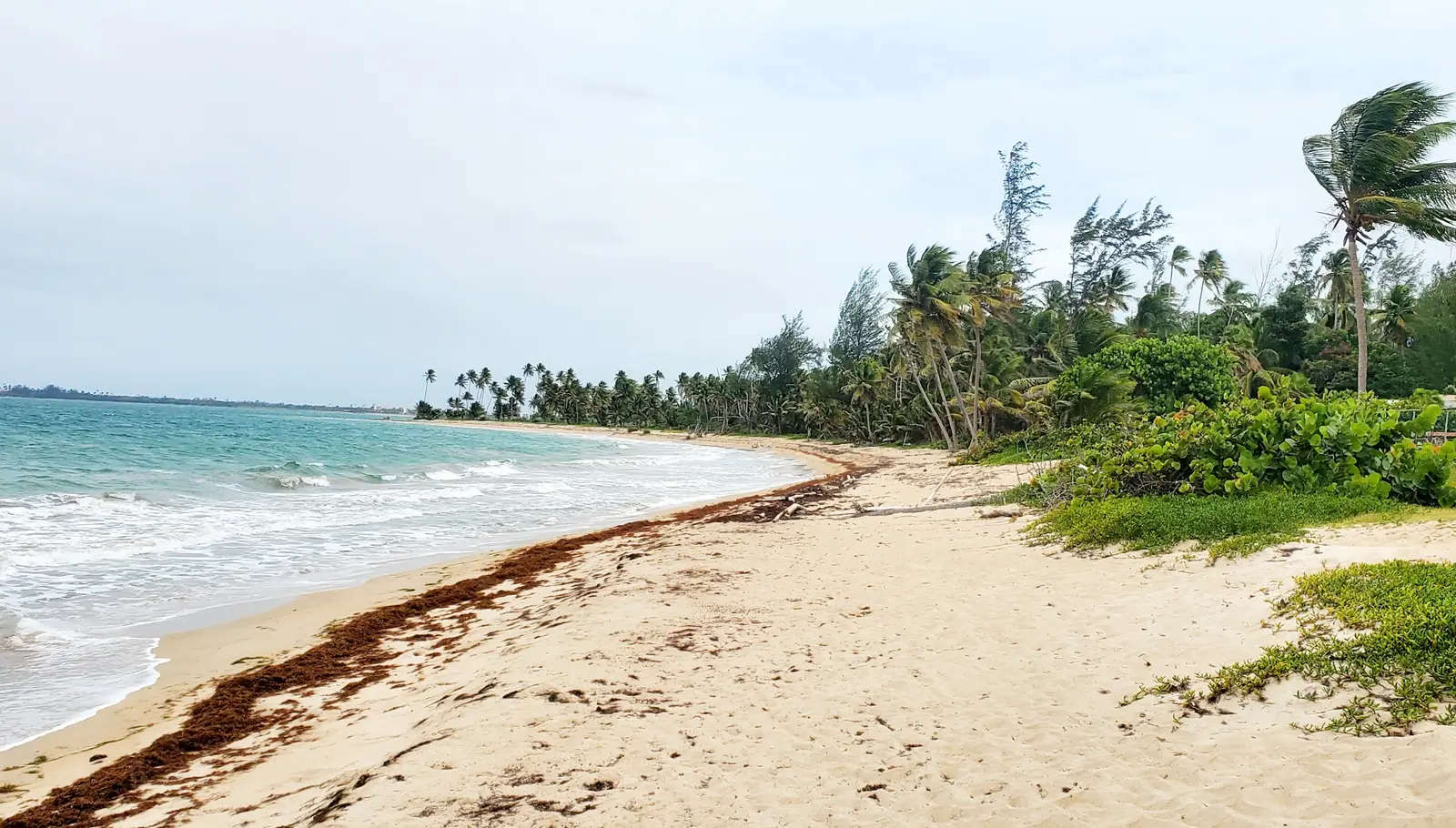 Road to Berwind Beach from Rio Grande.