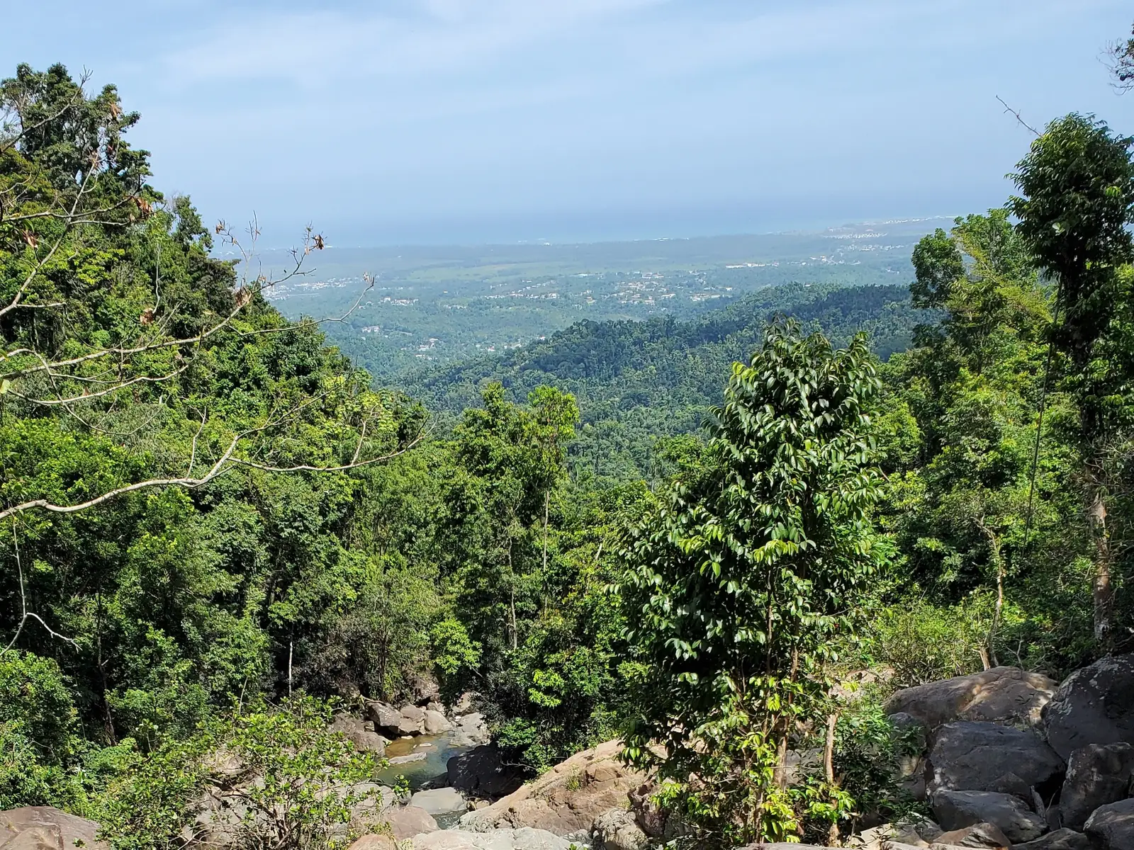 View of Rio Grande from the West side of El Yunque.
