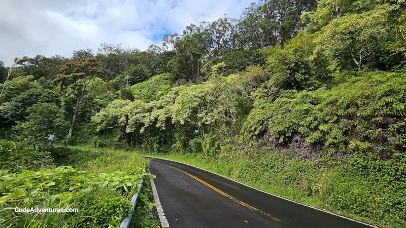 20231217_094755.webp
