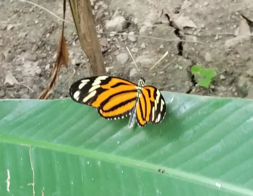 20180329_062230.jpg