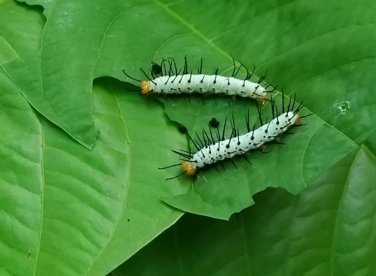 20180329_062516.jpg