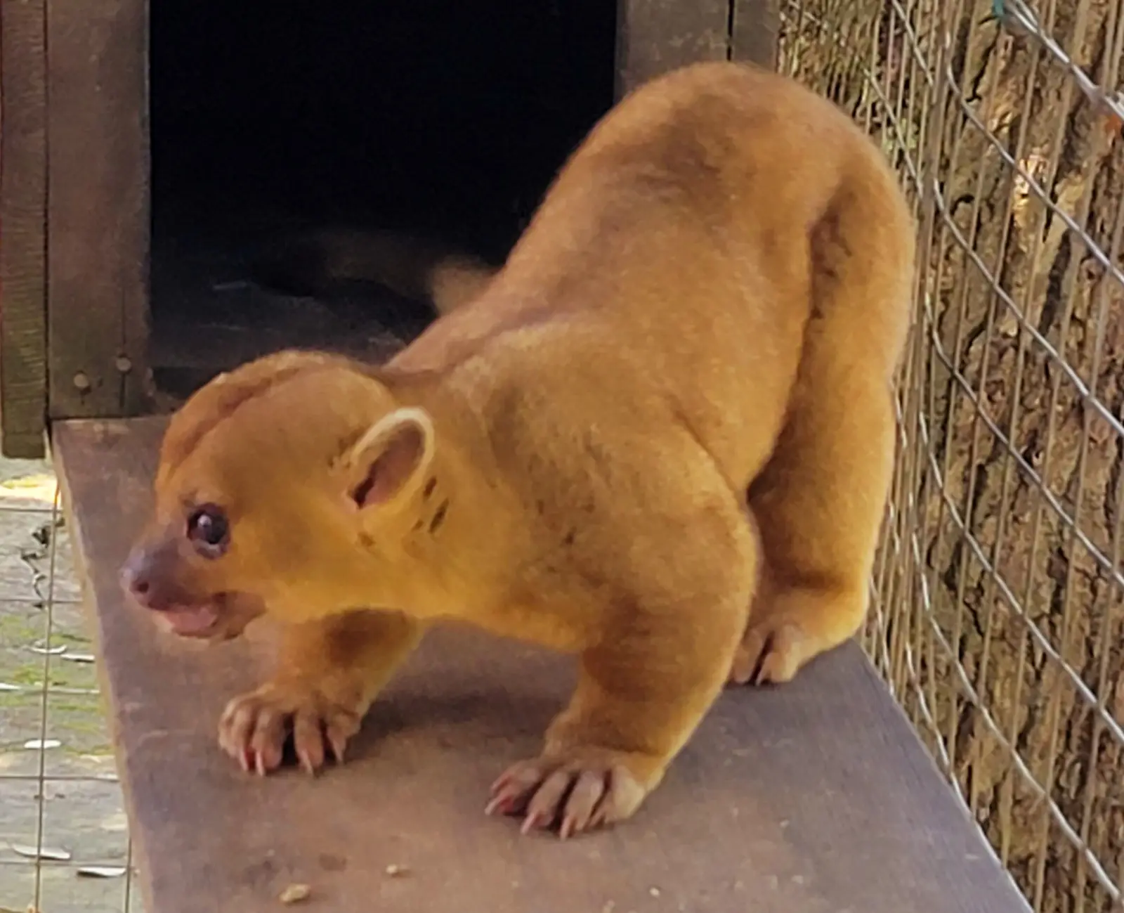 20220316_110007.jpg
