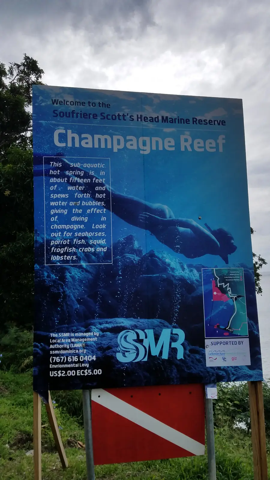Champagne Reef is an underwater hot spring that releases bubbles in the hot water from the spring giving the effect of diving in Champagne