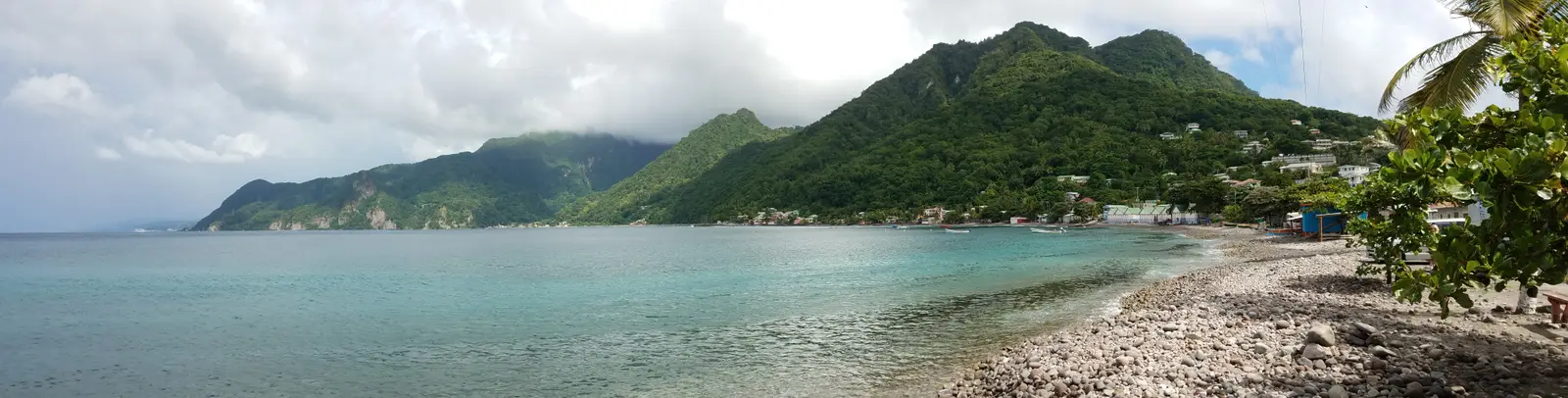 The view of the coastline from Scott's Head Beach