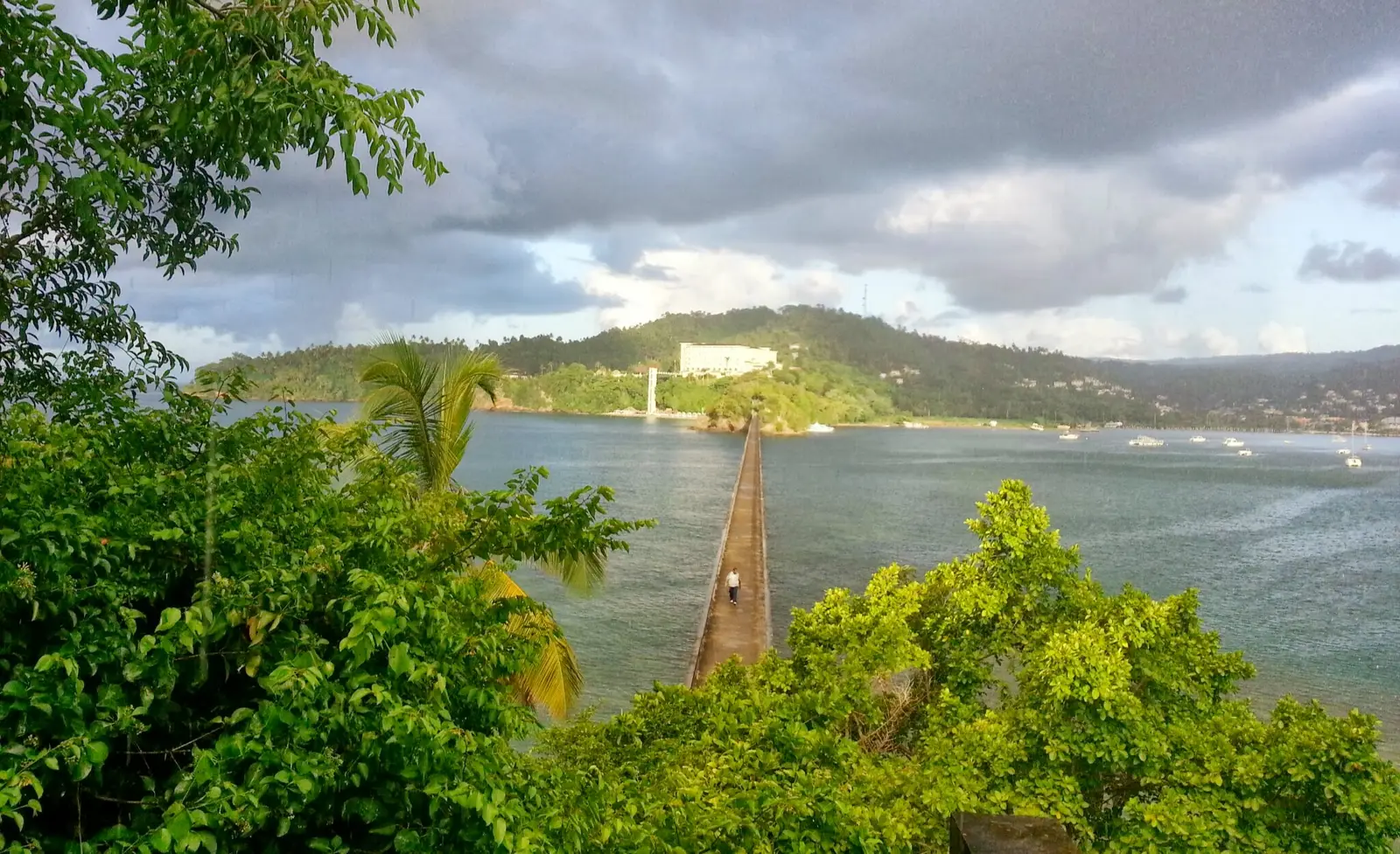 IMG_20131003_071632.jpg