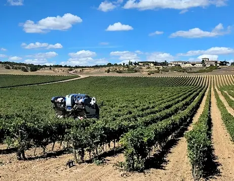 View of the hills and vineyards in the Duero River valley