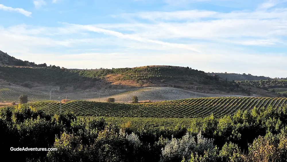 View of the hills and vineyards in the Duero River valley