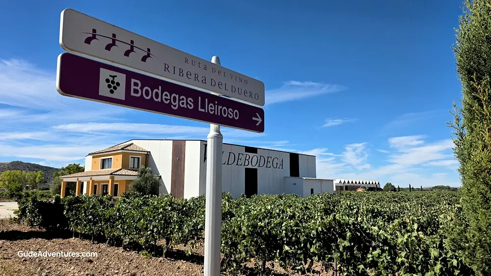 One of the four wineries next to the town of San Bernardo