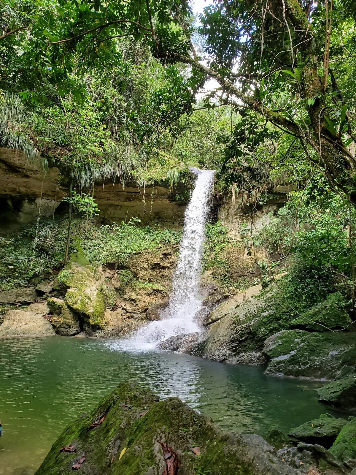 Cascadas de Gozalandia 