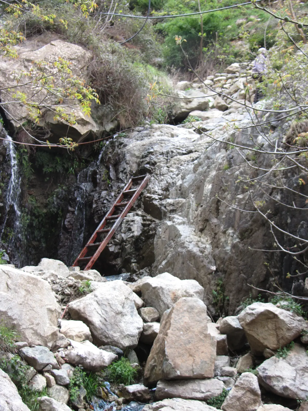 A ladder on the trail to the waterfalls