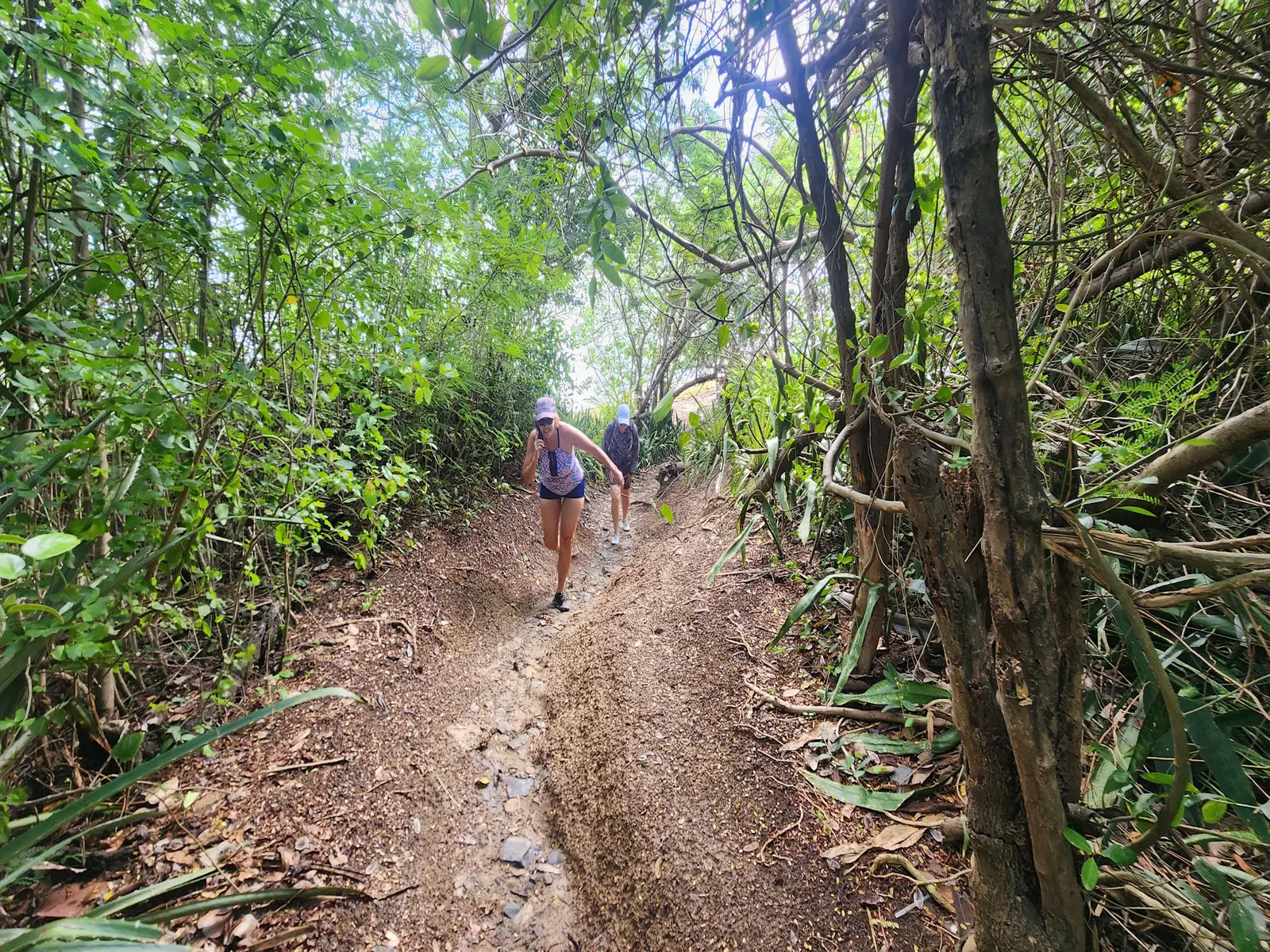 At the West end, a trail leads through the mangrove forest to Playa Colora and Playa Escondida