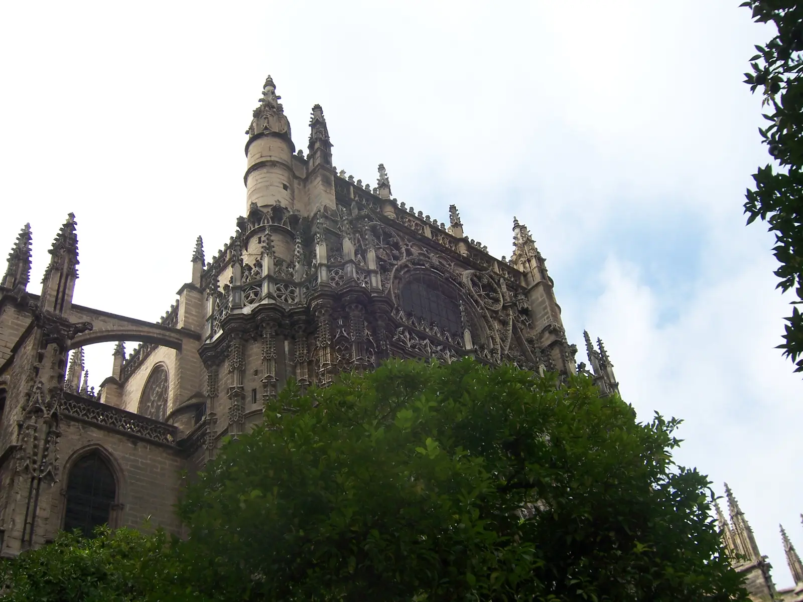100_1717.JPG