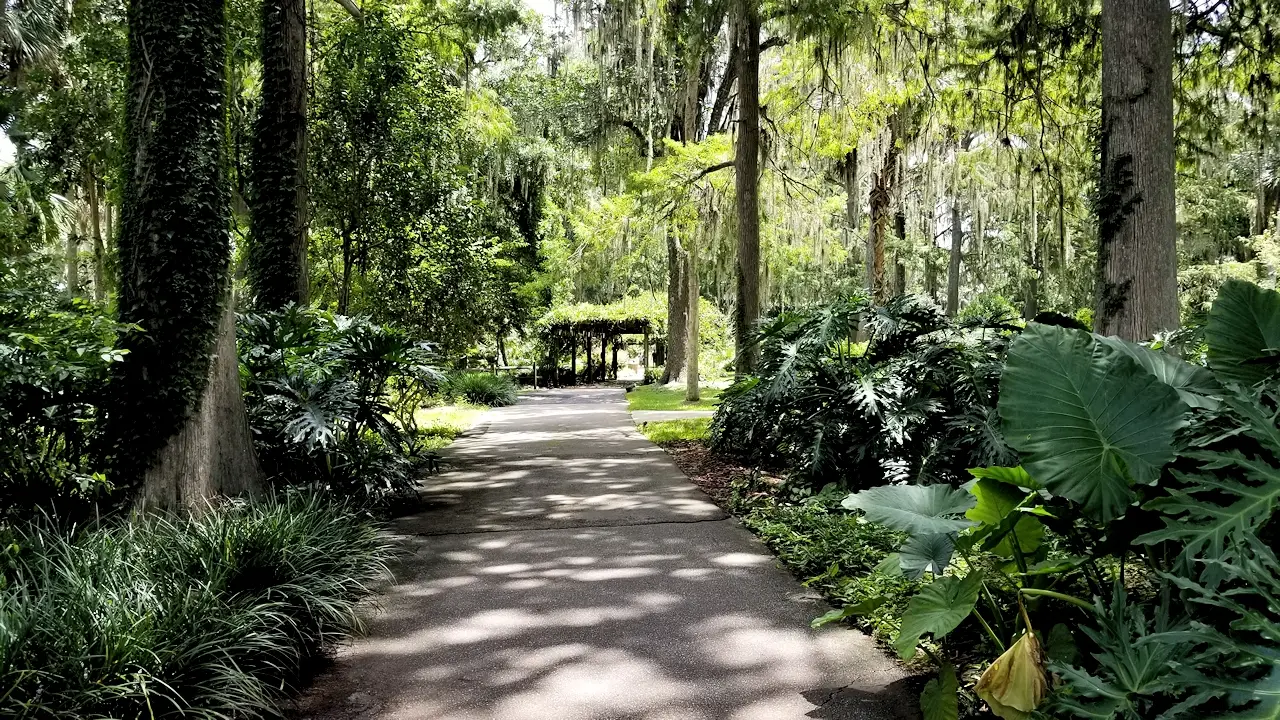Walking trail in Silver Springs State Park