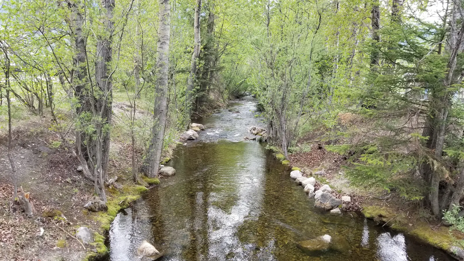 Dewey Creek