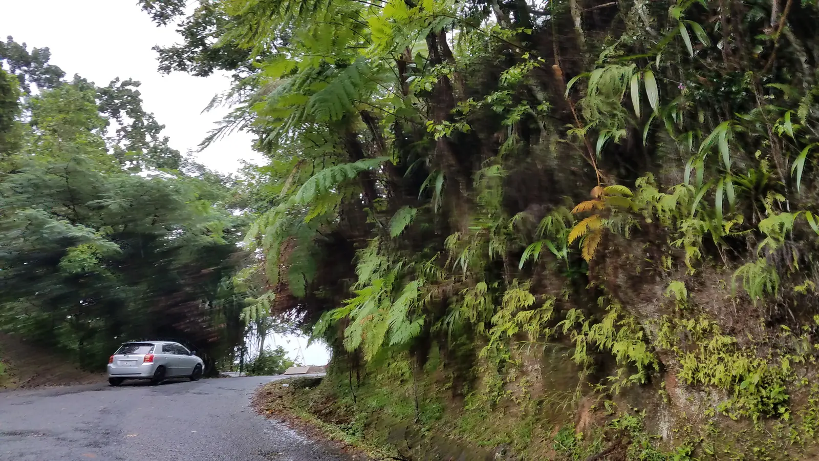 The road to Soufriere