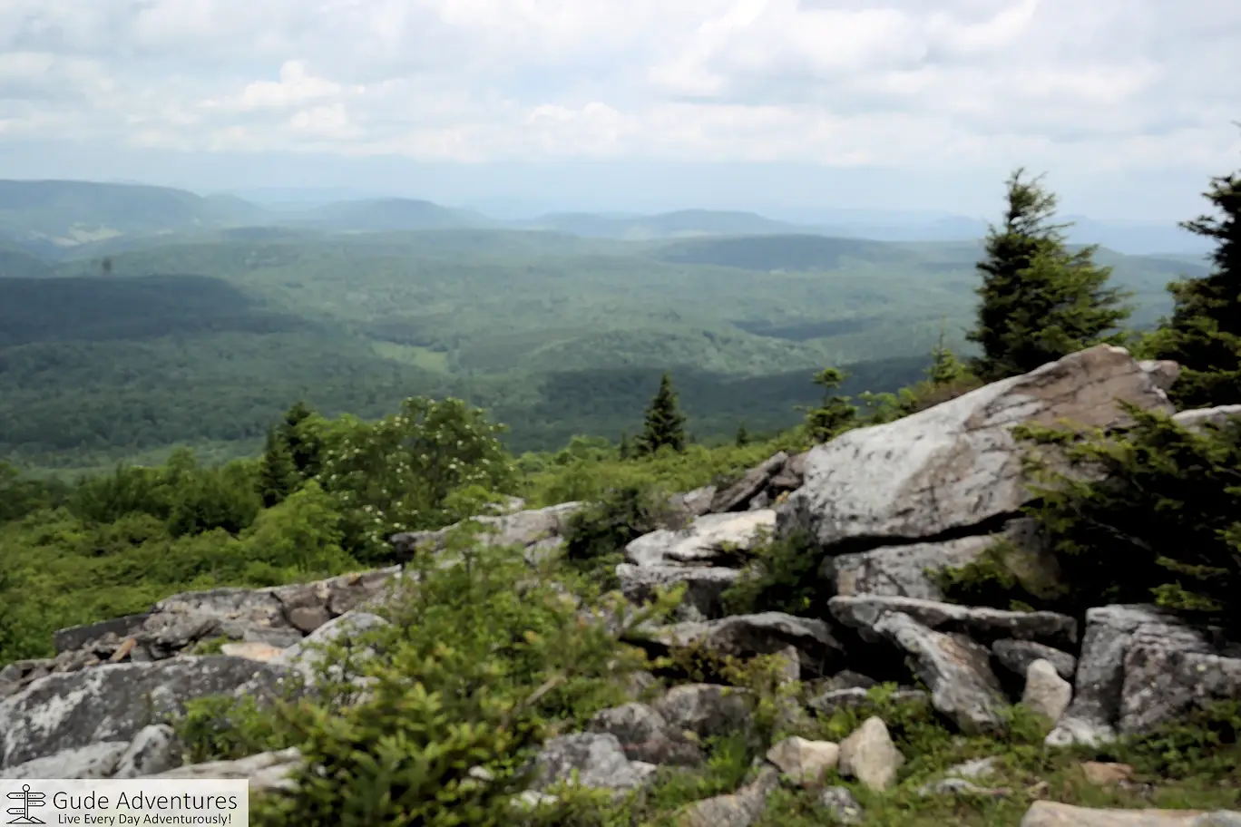 View from the observation tower in the top of Spruce Mountain