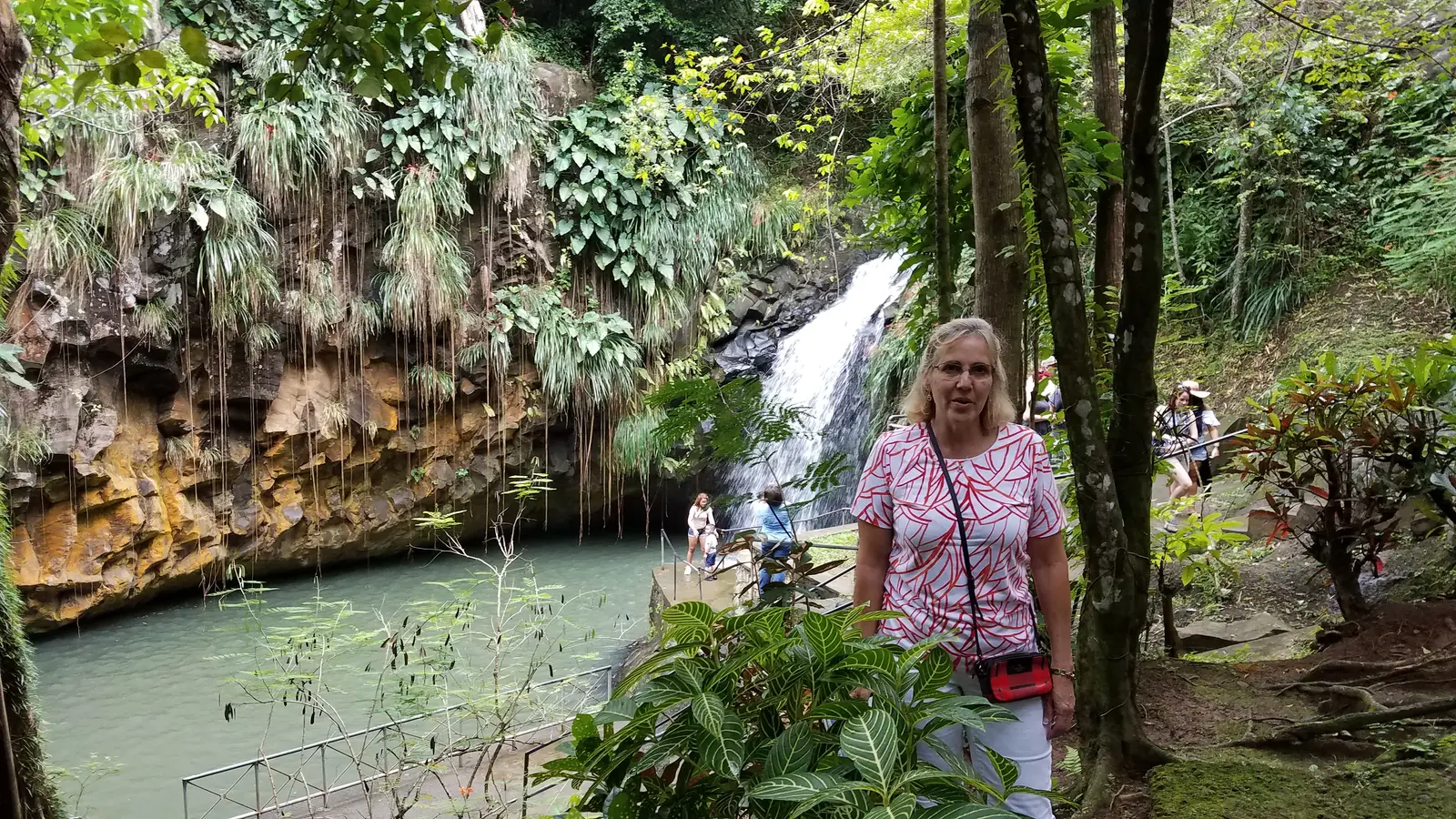 Annandale Waterfall and Forest Park