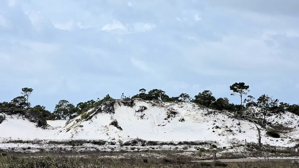 Tree covered sand dunes at St George Island State Park.