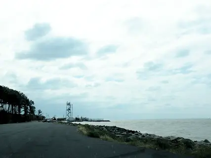 View of Chesapeake Bay from the shore