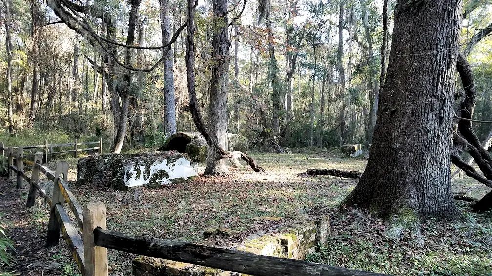 Ruins from the town of Frederica